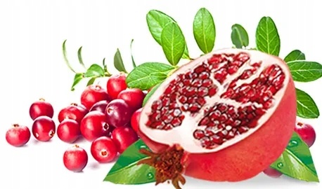 05ce524c4b4d879bdd3251147524