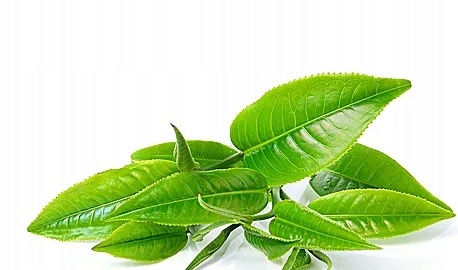 8dfde0554baf9b62dff11b787570