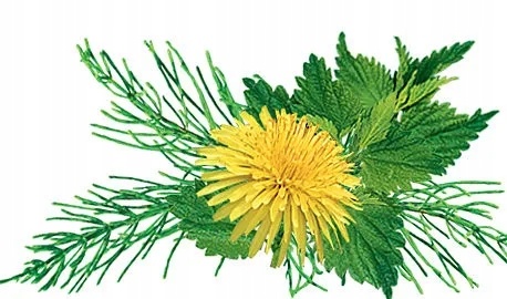 52bcbe7741088478443adb082520