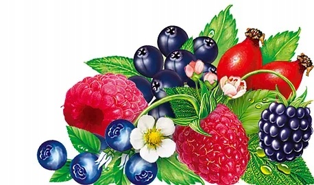 3abd7d9e4dc98c88a20474826436