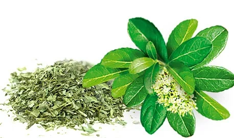 498262a84bffba46d9059bb857f6