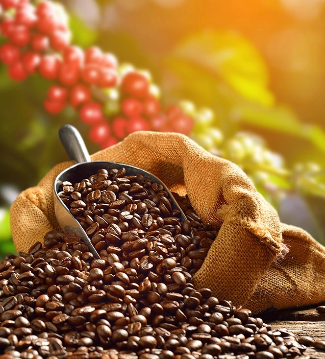 1d9cc4594871afe798d1d7bc944f