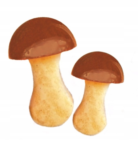 a93d3fe843c1a81bd8e5d9250e15