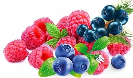 d2da0e2823e22f0547f4dc99db78cb79