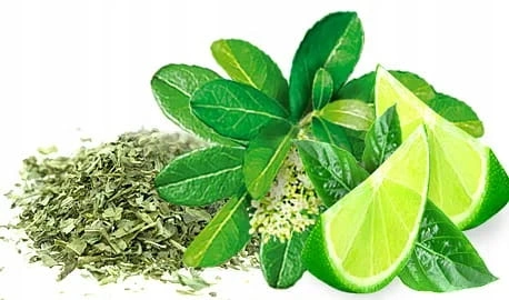 feca59764d8ff3149df6697a7a342804