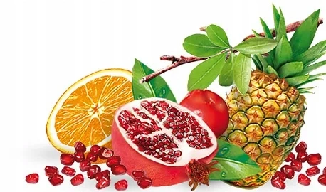 fa731ce248d09d810341eaa5a3d6