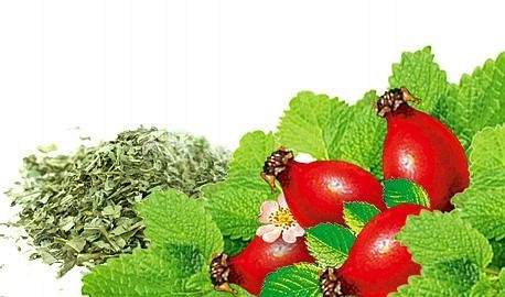 c660473c4c1f91745654f4787cf6