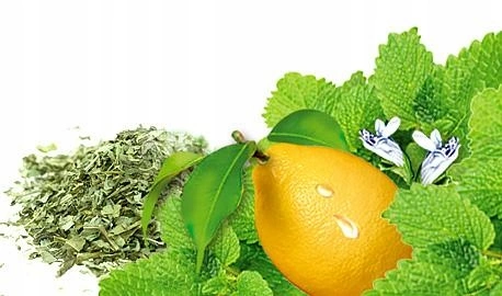 87abf0114513a5df6be3f79fb267