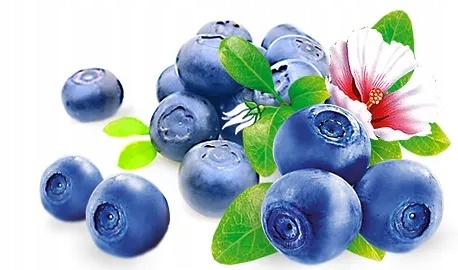 6cad64c44173a882f89b61103063