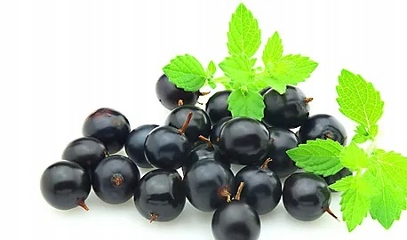 9f1be5d54899936c42e184ff61de