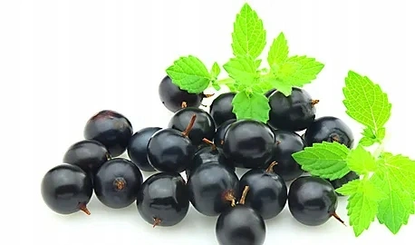 9f1be5d54899936c42e184ff61de