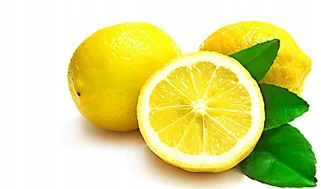 845169284617bc11fa23213aa6b5