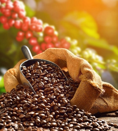 97f474ae971f6d79c07397c725b21d84